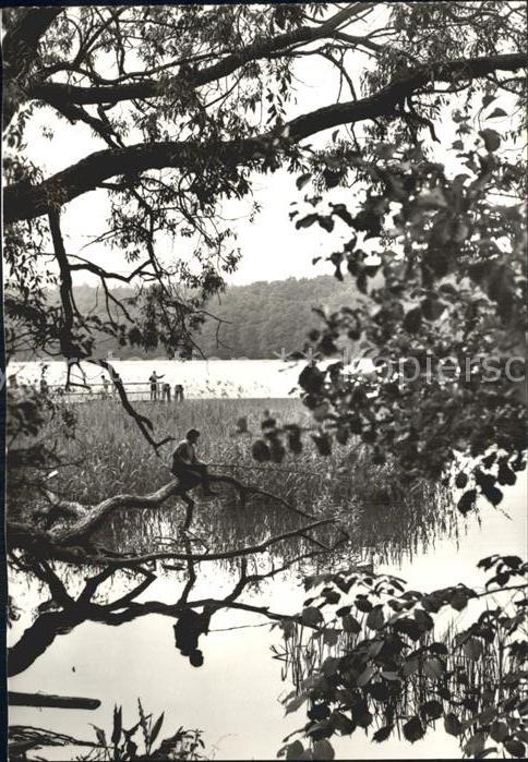 Masuren Niedersee Ostpreussen