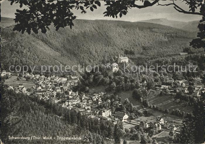 Schwarzburg Thueringer Wald Trippsteinblick
