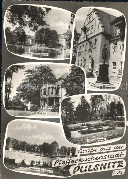 Pulsnitz Sachsen Rietschaldenkmal Schlossteich Heilstaette Stadtpark Walkmuehlen