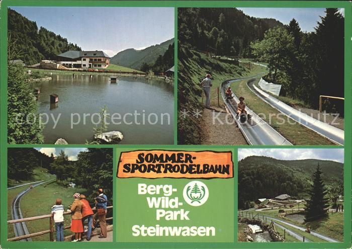 Todtnau Schwarzwald BW Berg-Wild-Park Steinwasen Oberried