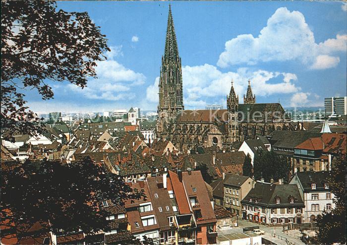Freiburg Breisgau Schlossberg Muenster
