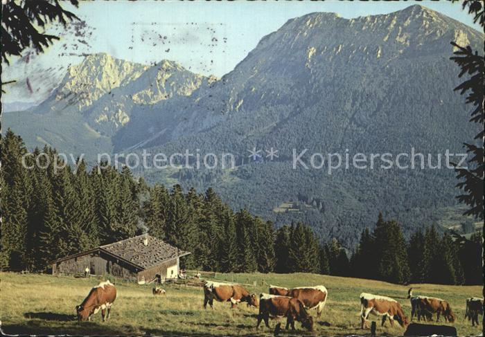 Inzell Traunstein Bayern Baeckeralm Teisenberg Hochstaufen Zwiesel Gamskogl