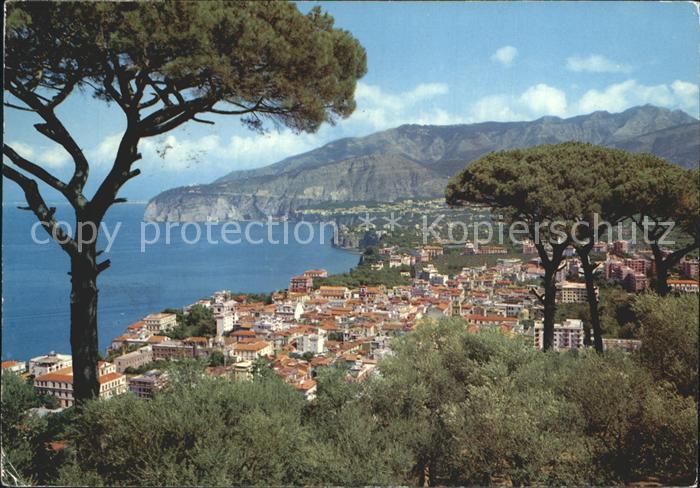 Sorrento Campania Pinienhuegel