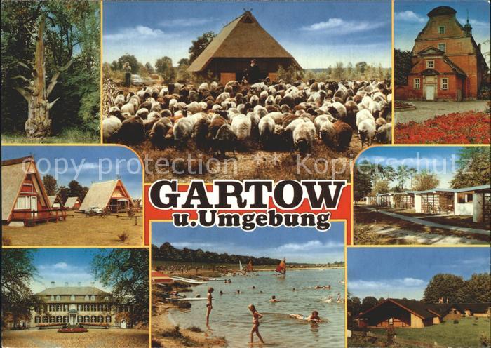 Gartow Elbe See Schafe Gebaeude