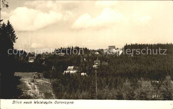 Waldidylle Teilansicht