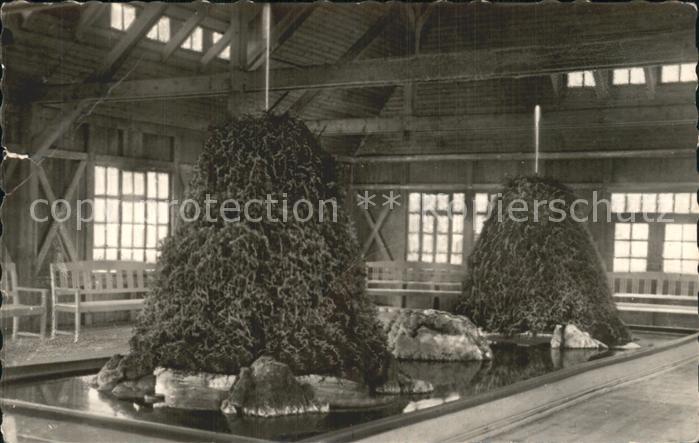 Bad Sulza Zerstaeuberhalle