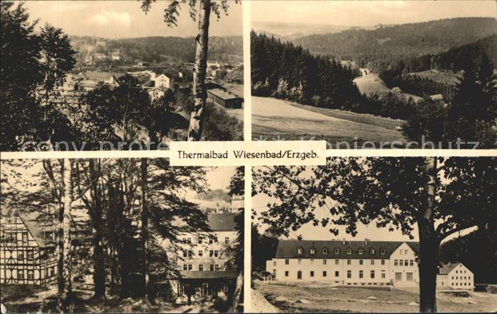 Wiesenbad Teilansicht Kurhaus Park