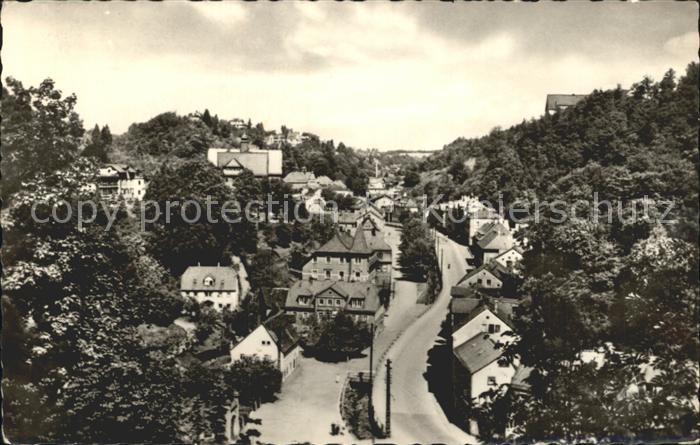 Tharandt Blick von der Ruine