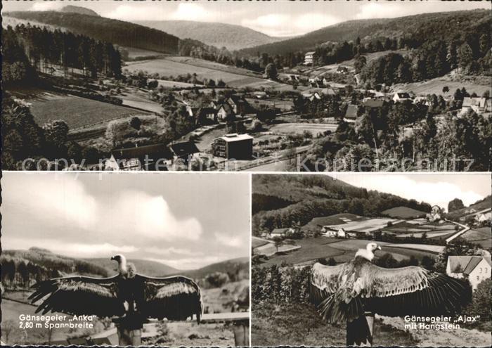 Berlebeck Blick von der Adlerwarte Gaensegeier Anka und Ajax