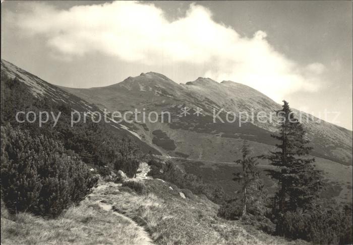 Nizke Tatry Pohlad z juhu na masiv Dumbiera