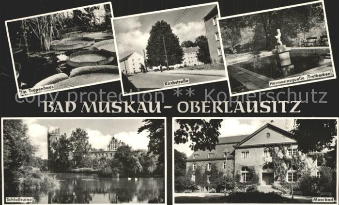 Bad Muskau Oberlausitz Tropenhaus Kirchstrasse Hermannsquelle Tretbecken Moorbad