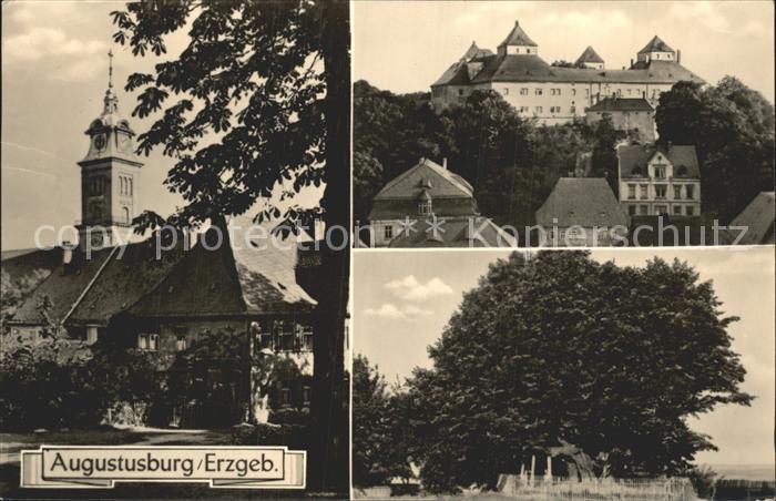Augustusburg Schloss Kirche Alter Baum