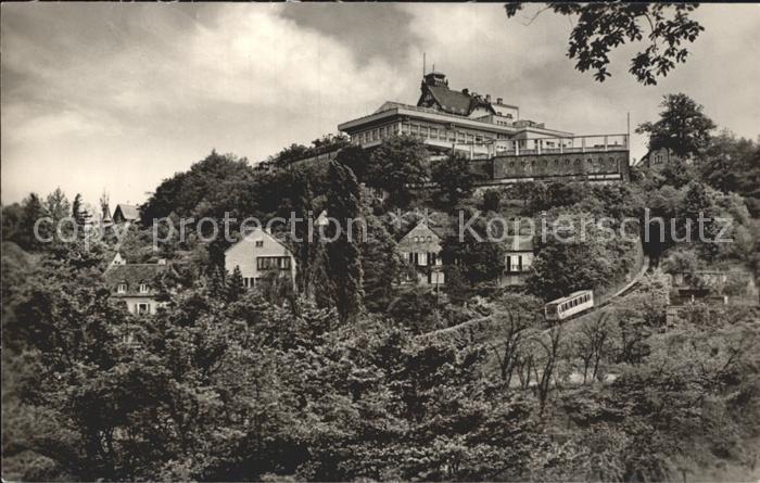 Weisser Hirsch HOG Luisenhof