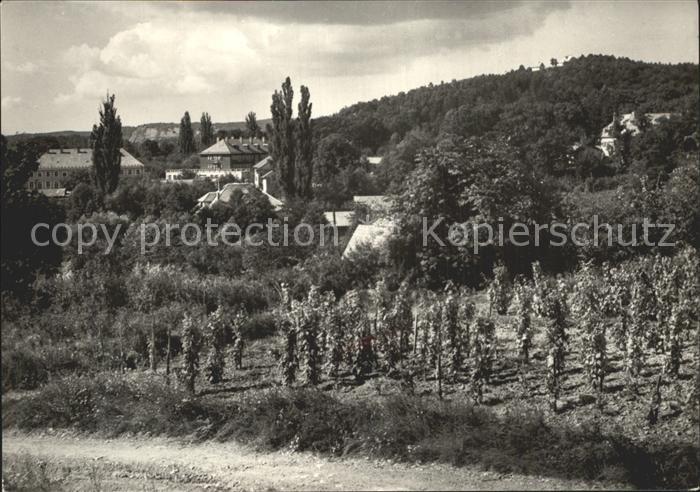 Modra Teilansicht mit Pension Harmonia