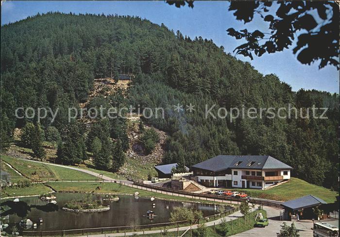 Todtnau Schwarzwald BW Bergwildpark Steinwasen Schwarzwald