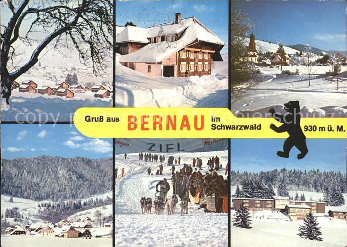 Bernau Schwarzwald Teilansichten Hoehenluftkurort Wintersportplatz Hundeschlitte