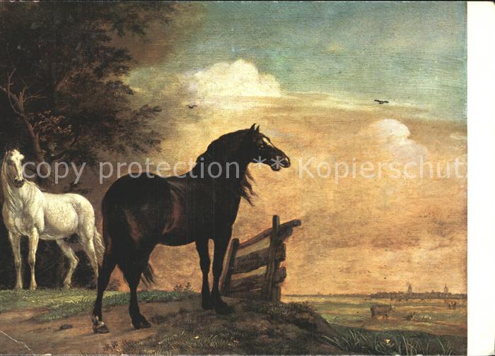 Kuenstlerkarte Paulus Potter Paarden in de weide