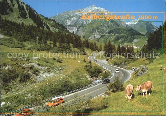 Arlberg Arlbergstrasse Kuehe