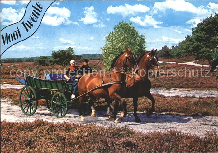 Pferde Pferdewagen Twente Holland