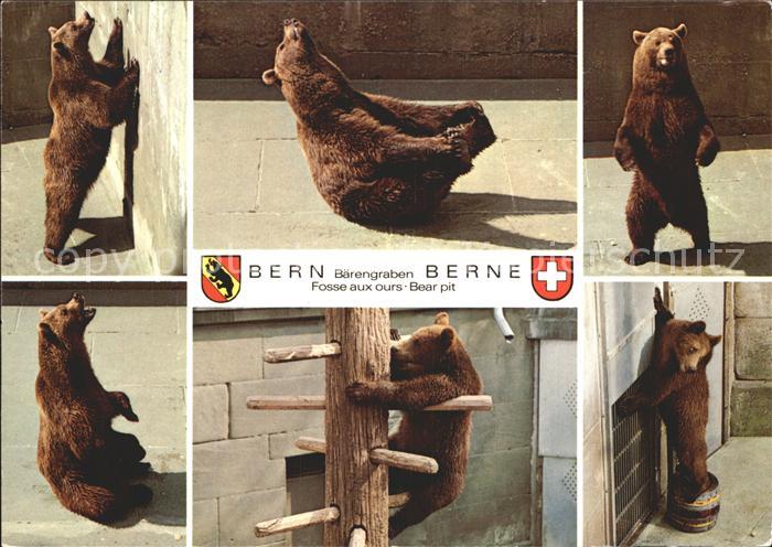 Baeren Bern Baerengraben