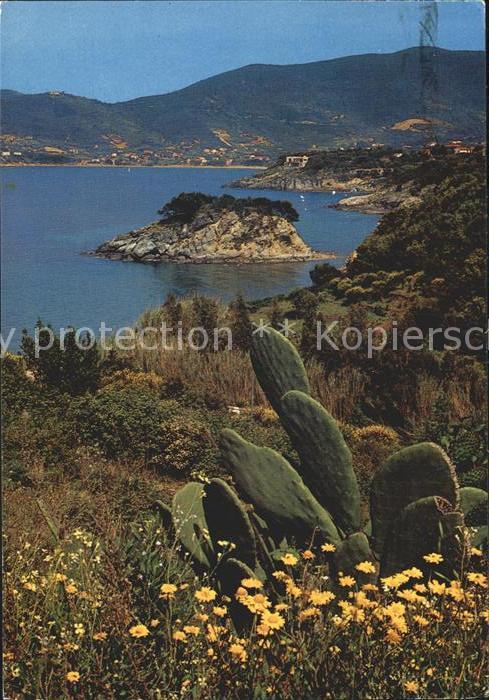 Kakteen Isola d_Elba Scoglio della Paolina