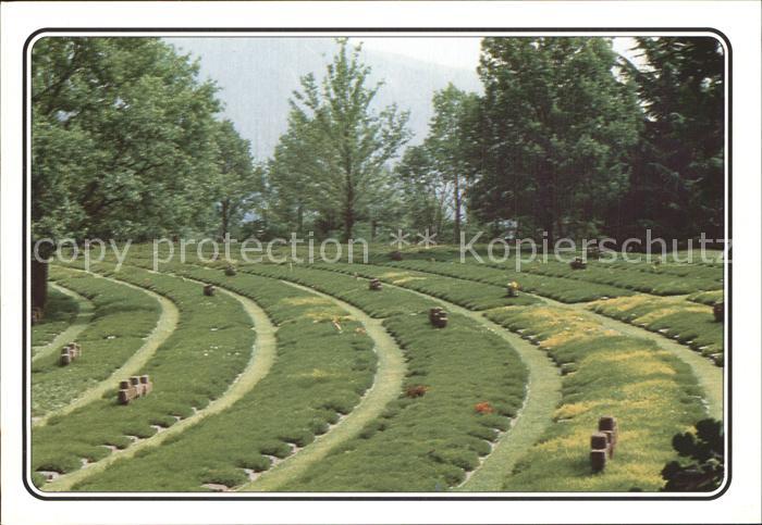 Friedhof Deutscher Soldatenfriedhof Costermano Italien