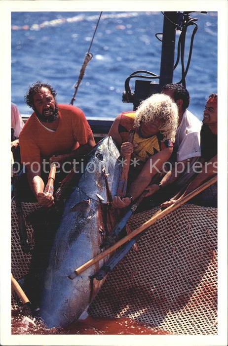 Fischerei Fisch Favignana Mattanza