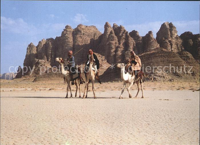 Kamel  Camel Chameau Wadi Rum Jordan