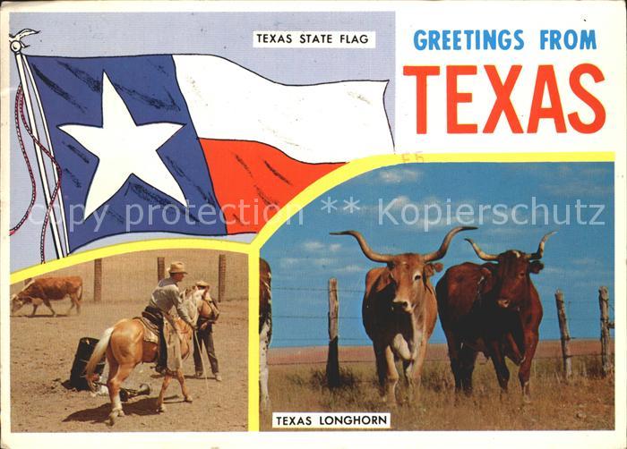 Tiere Texas Longhorn State Flag