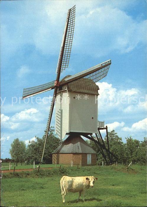 Windmuehle Sprang-Capelle Korenmolen Kuh