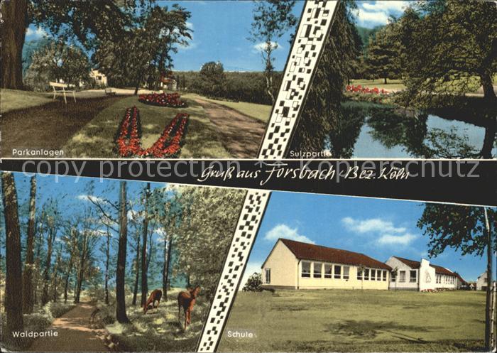 Forsbach Rheinland Sulzpartie Waldpartie Schule Parkanlagen