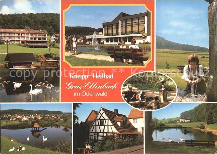 Gras-Ellenbach Schwanenteich Park Brunnen