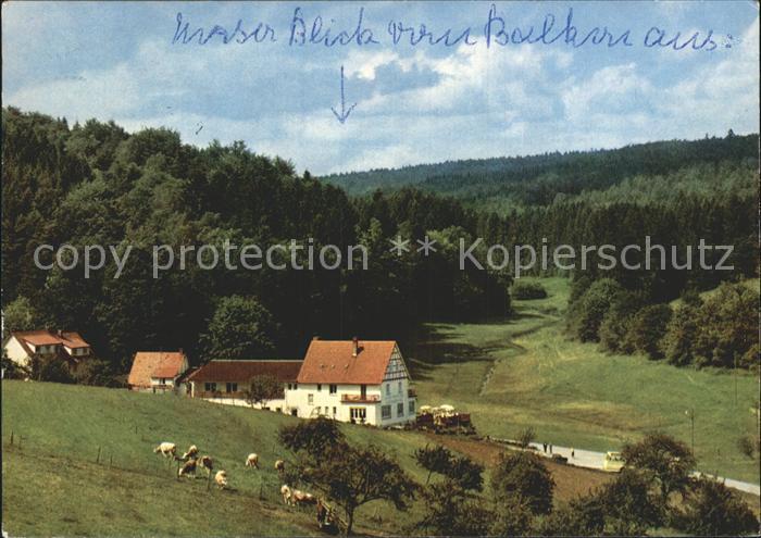 Gras-Ellenbach Gassbachtal