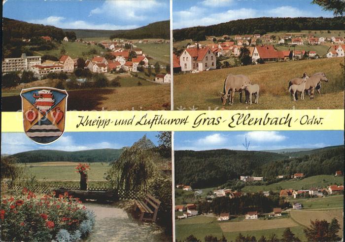 Grasellenbach Dorfansicht Pferde Park