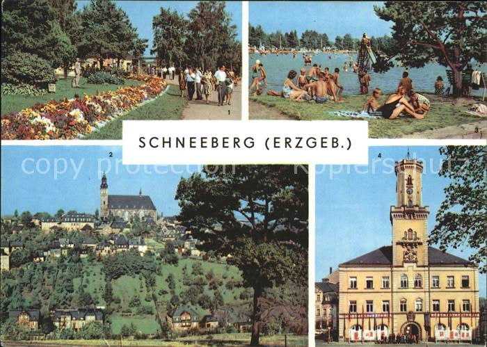 Schneeberg Erzgebirge Park Filzteich Kirche Rathaus
