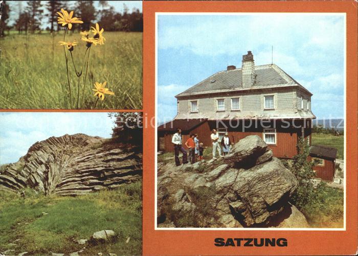 Satzung Arnika Nephelinbasalt Faecher Hirtsteinbaude