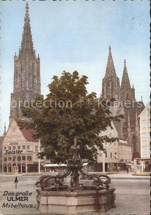 Ulm Donau Delphinbrunnen mit Muenster