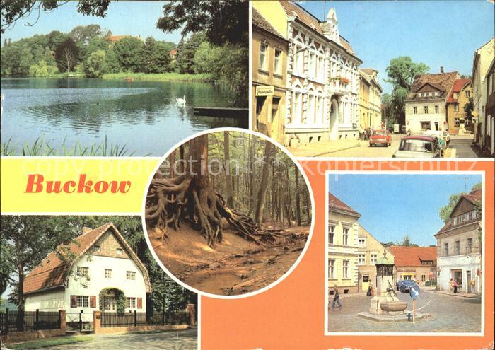 Buckow Maerkische Schweiz Buckowsee Clara Zetkin Str Wurzelfichte Brecht Weigel