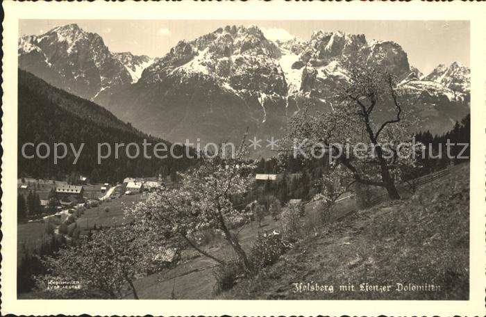 Iselsberg-Stronach Panorama mit Lienzer Dolomiten Baumbluete
