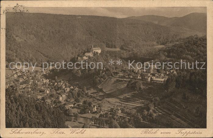 Schwarzburg Thueringer Wald Panorama Blick vom Trippstein