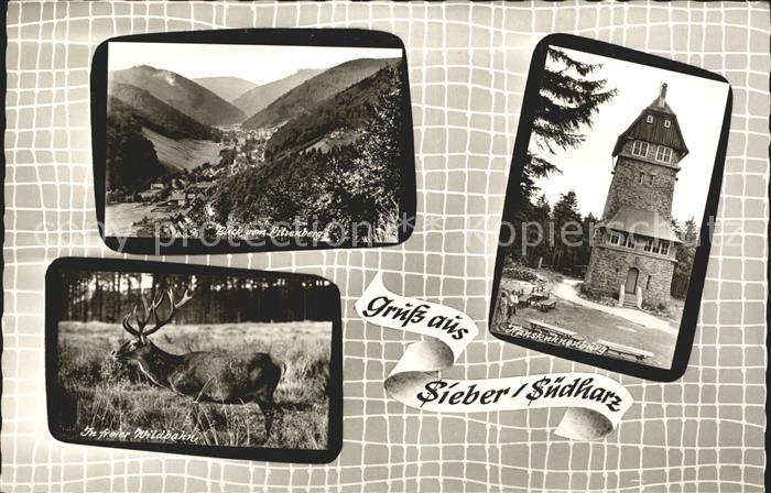 Sieber Herzberg am Harz Osterode Niedersachsen Panorama Blick vom Lilienberg Hi