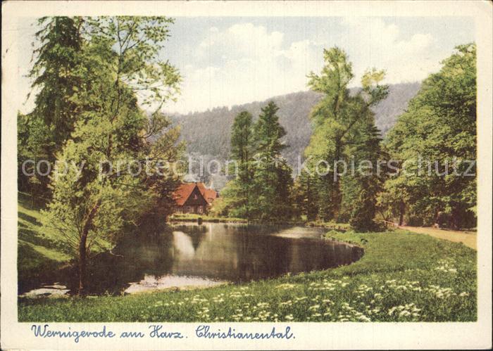 Wernigerode Harz Christianental Teich Wald