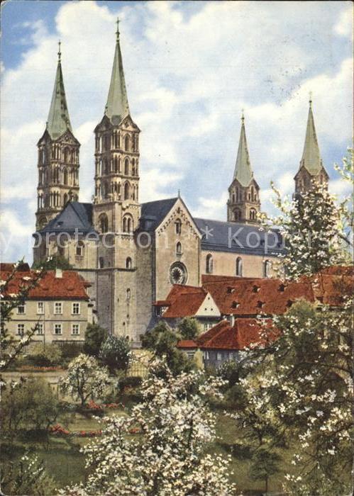 Bamberg Dom Baumbluete