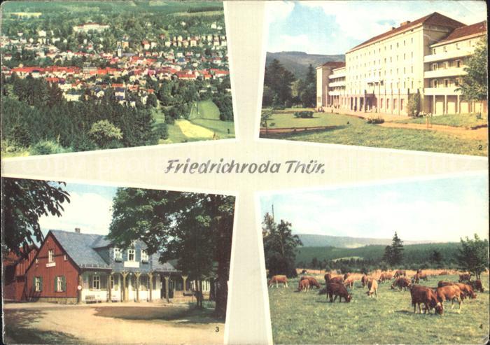 Friedrichroda Panorama FDGB Heim Heuberghaus Rennsteig Viehweide Kuehe