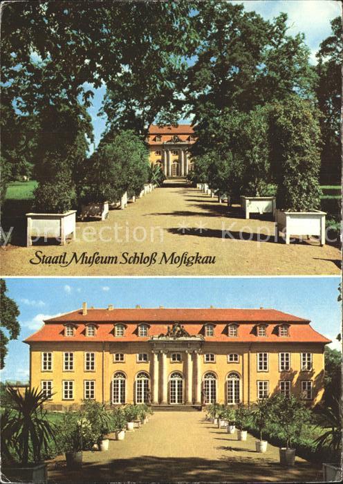 Mosigkau Staatliches Museum Schloss