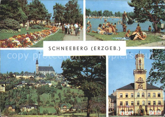 Schneeberg Erzgebirge Blick zur Kirche Filzteich Rathaus