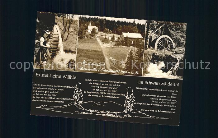 Furtwangen Gasthaus Pension Kolmenhof