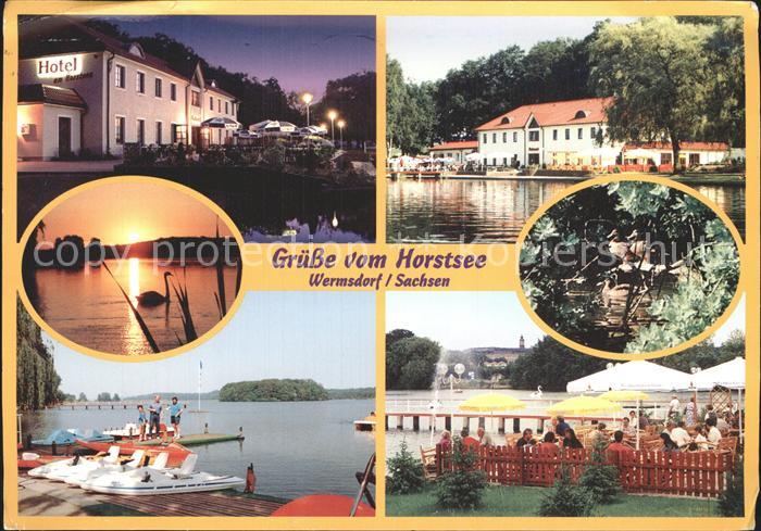 Wermsdorf Seegasthof Sommerabend Bootsverleih Enten im Schutzgebiet