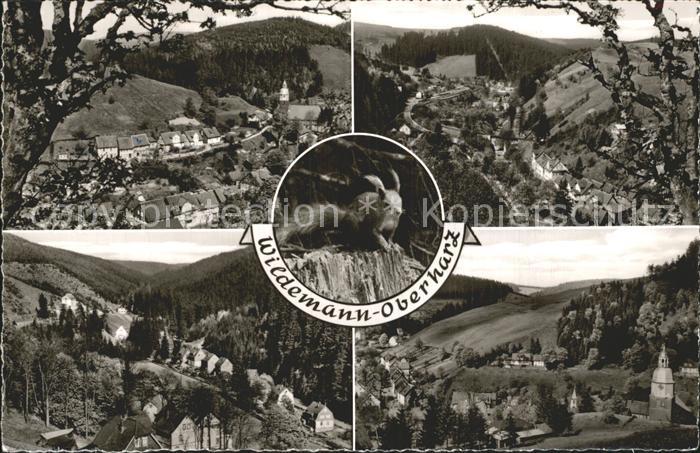 Wildemann Harz Goslar Niedersachsen Eichhoernchen Ortsansichten