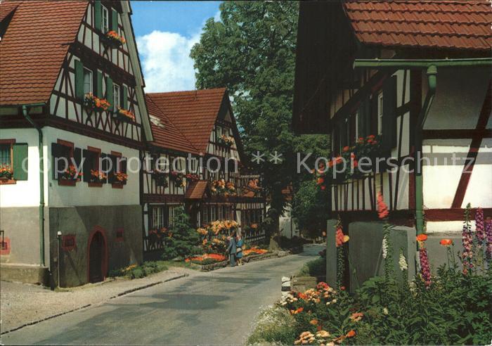 Sasbachwalden Alte Haeuser